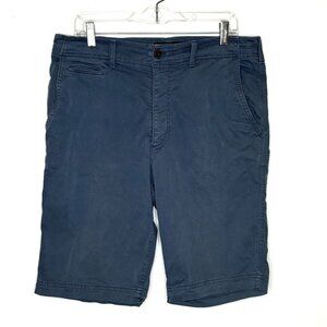 American Eagle Extreme Flex Longer Length Mens Shorts Sz 34